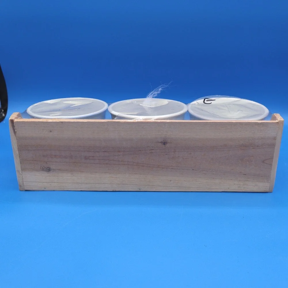 Set of 3 Ceramic Planters Pots Decorative Fish Design with Wooden Tray